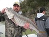 (03/21/2015) - Nice Striped Bass